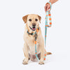 HUFT Jungle Safari Leash For Dog - Mint Green - Heads Up For Tails