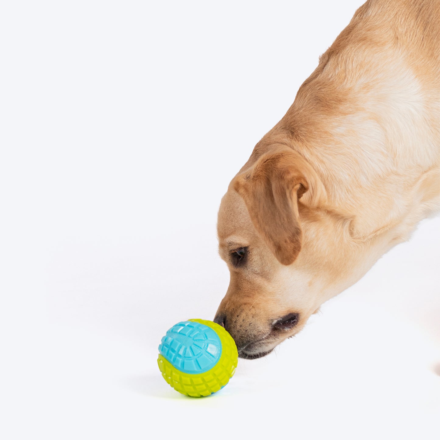 Dash Dog Squeaky Serve Tennis Ball Fetch Toy For Dog - Blue & Green_03