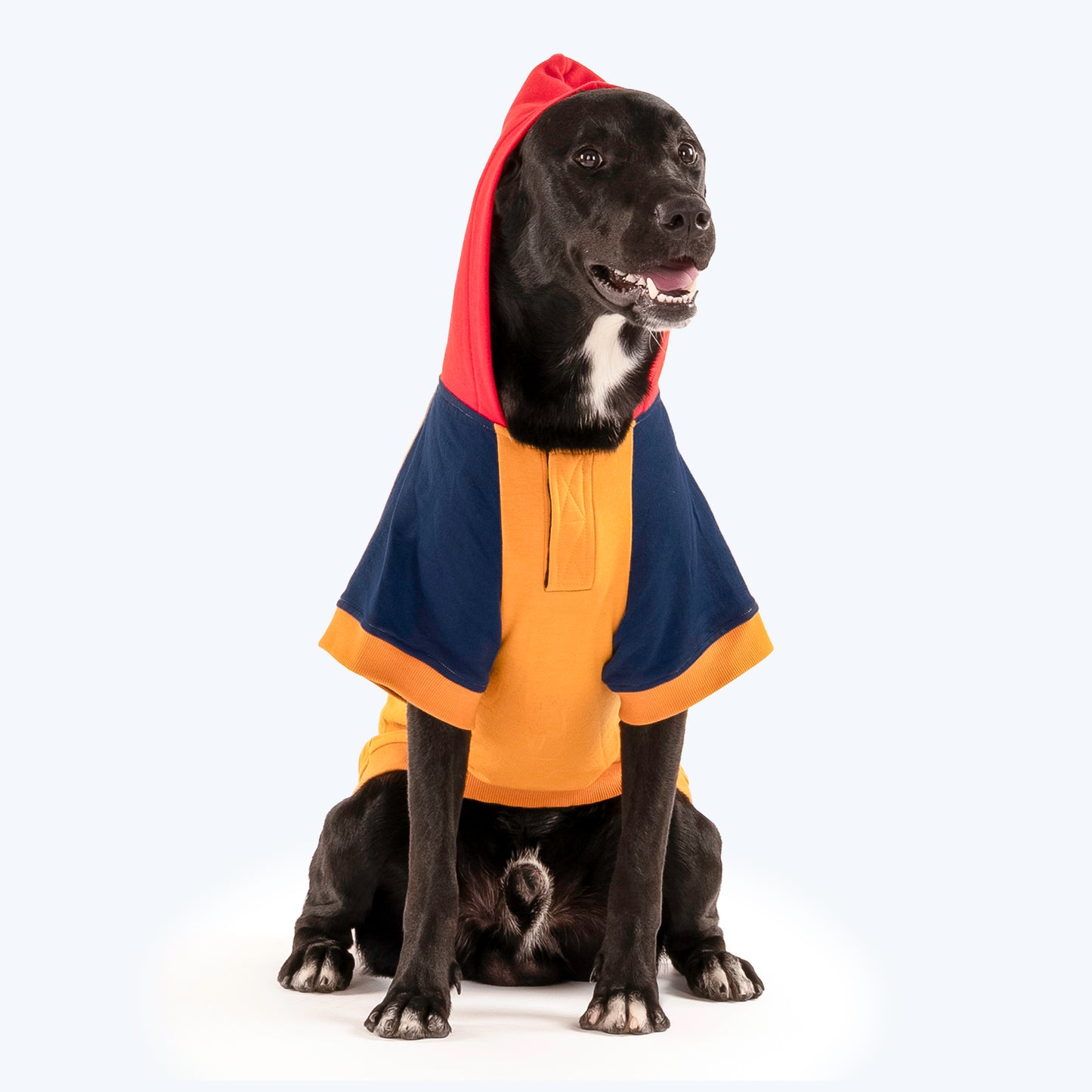HUFT Colour Block Hoodie Sweatshirt For Pets- Mustard - Heads Up For Tails