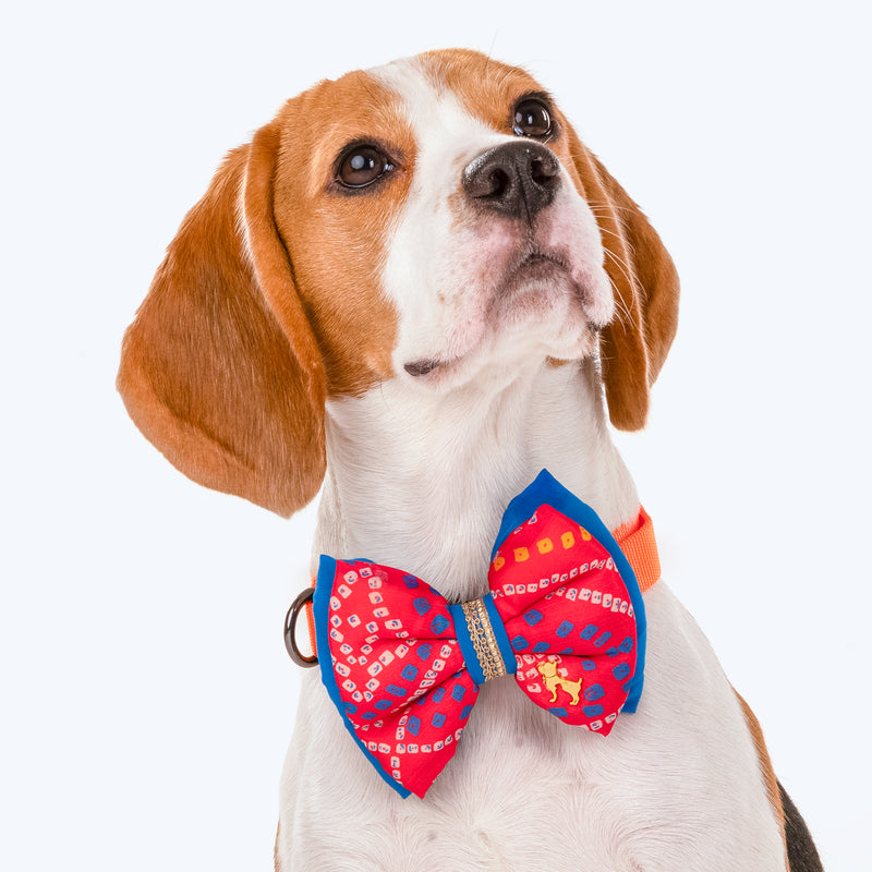 HUFT Festive Bandhej Bling Dog Bow Tie - Pink & Blue - Heads Up For Tails