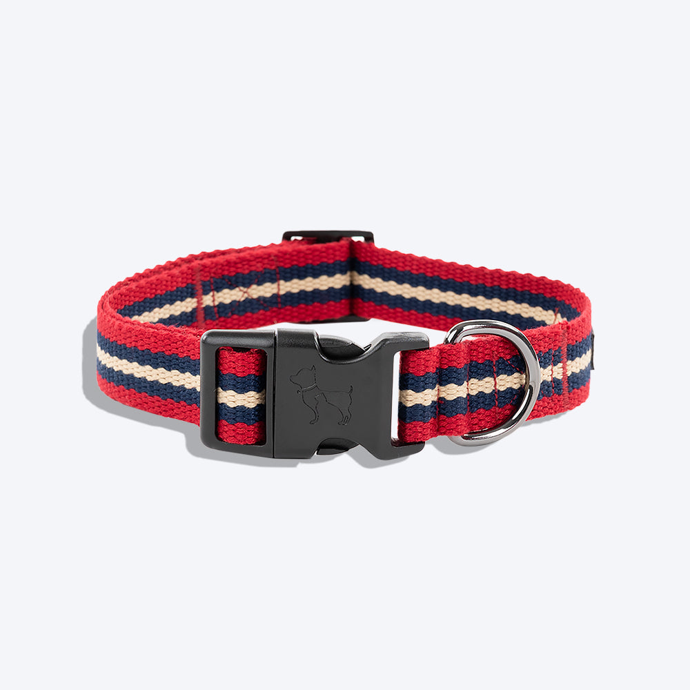 HUFT Retro Vibes Dog Collar - Maroon & Navy - Heads Up For Tails