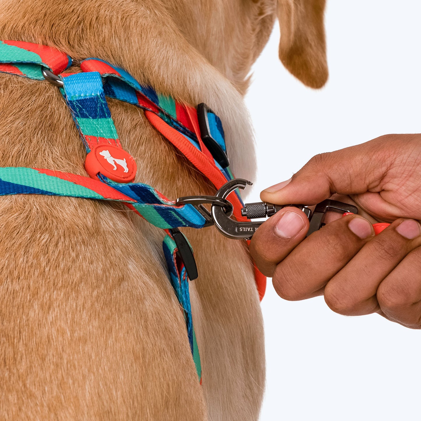 HUFT Wild Waves Printed Dog Leash - Heads Up For Tails
