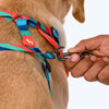 HUFT Wild Waves Printed Dog Leash - Heads Up For Tails