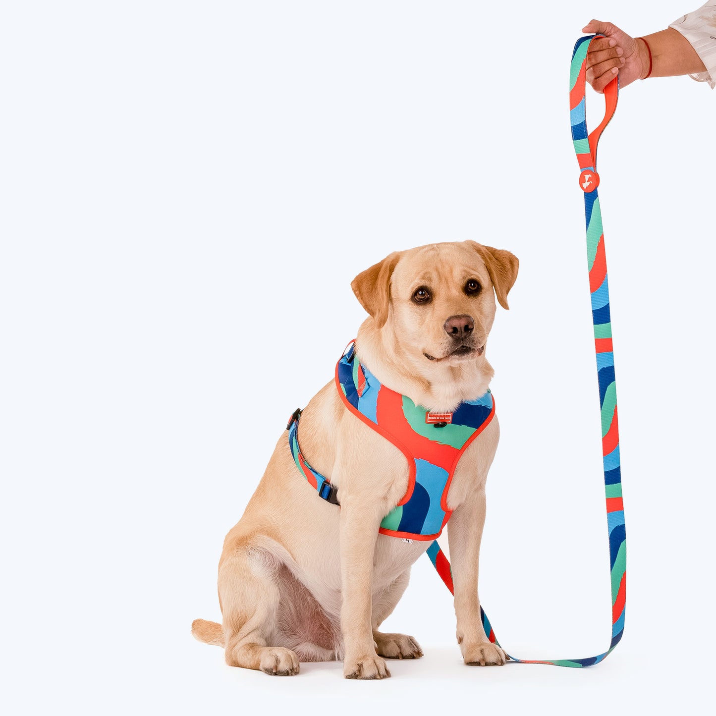 HUFT Wild Waves Printed Dog Leash - Heads Up For Tails