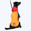 HUFT Colour Block Hoodie Sweatshirt For Pets- Mustard - Heads Up For Tails