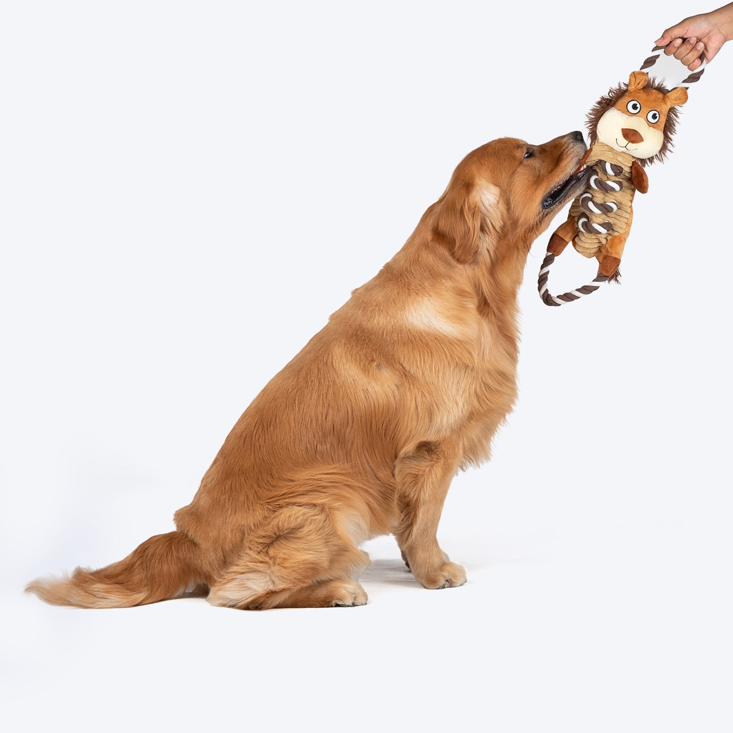 HUFT Lion With Rope Plush Toy For Dog - Brown - Heads Up For Tails