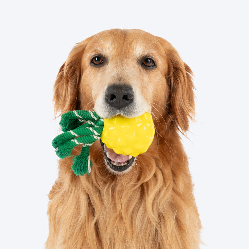 HUFT Squeakie Fruitie Chew Toy For Dog - Yellow - Heads Up For Tails