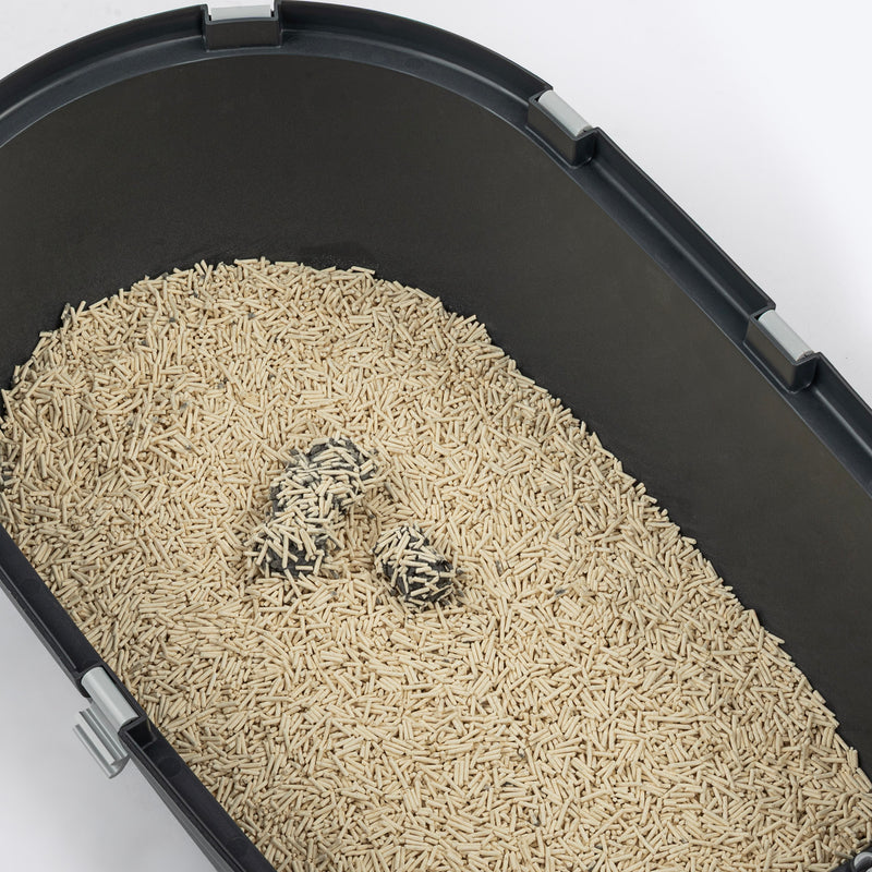 Meowsi by HUFT Tofu Cat Litter, Unscented, 6 Ltr, eco-friendly, fast clumping, 99% dust-free, antibacterial.