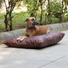 HUFT Foundation X SPACES Bed For Streeties - Brown - Heads Up For Tails