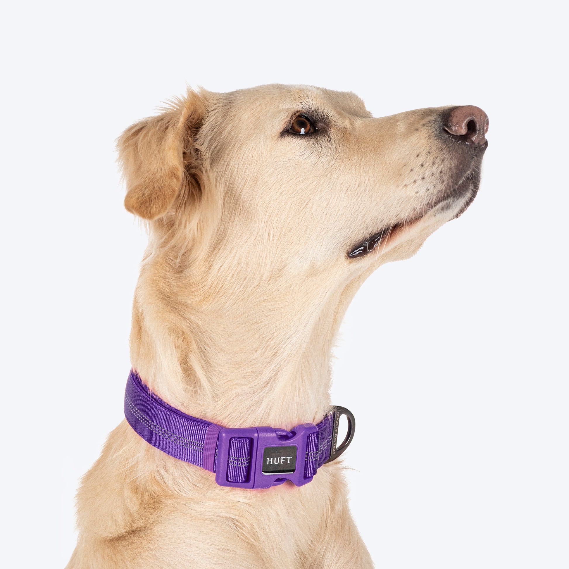 HUFT Comfort Plus Collar For Dog - Purple - Heads Up For Tails
