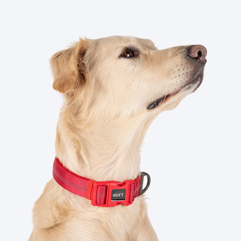 HUFT Comfort Plus Collar For Dog - Red - Heads Up For Tails