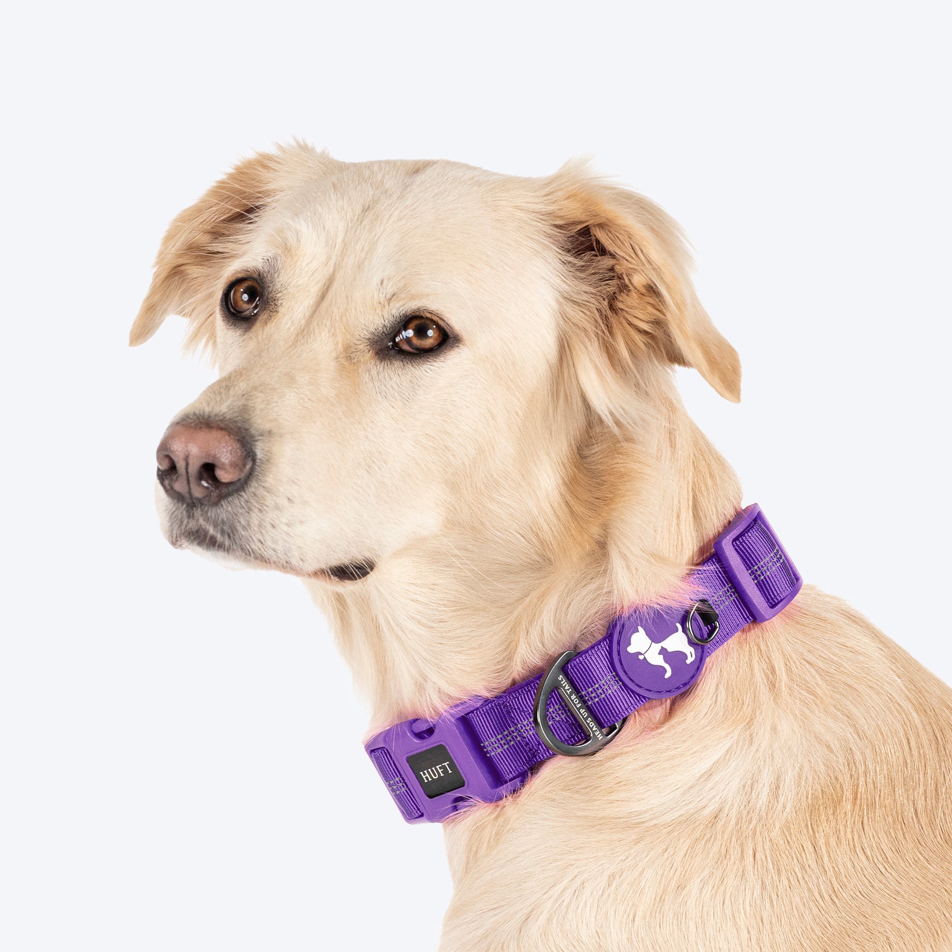 HUFT Comfort Plus Collar For Dog - Purple - Heads Up For Tails