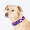 HUFT Comfort Plus Collar For Dog - Purple - Heads Up For Tails