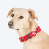 HUFT Comfort Plus Collar For Dog - Red - Heads Up For Tails