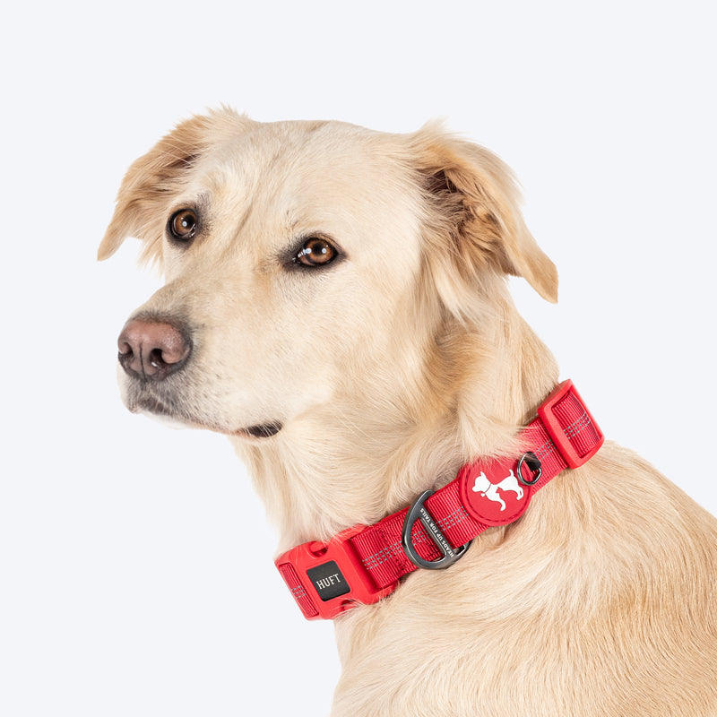 HUFT Comfort Plus Collar For Dog - Red - Heads Up For Tails