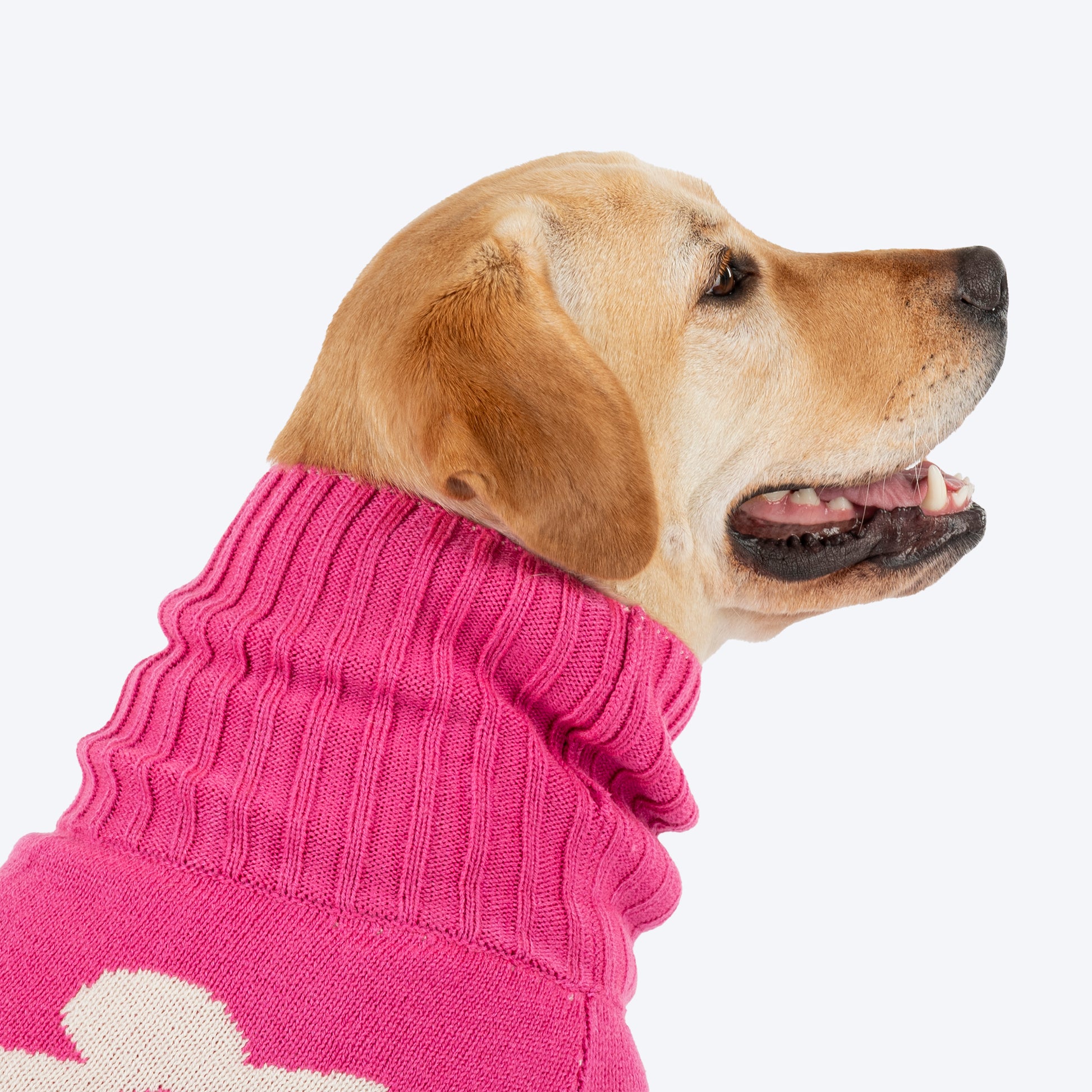 HUFT Blossom Knit Sweater For Dog - Pink - Heads Up For Tails