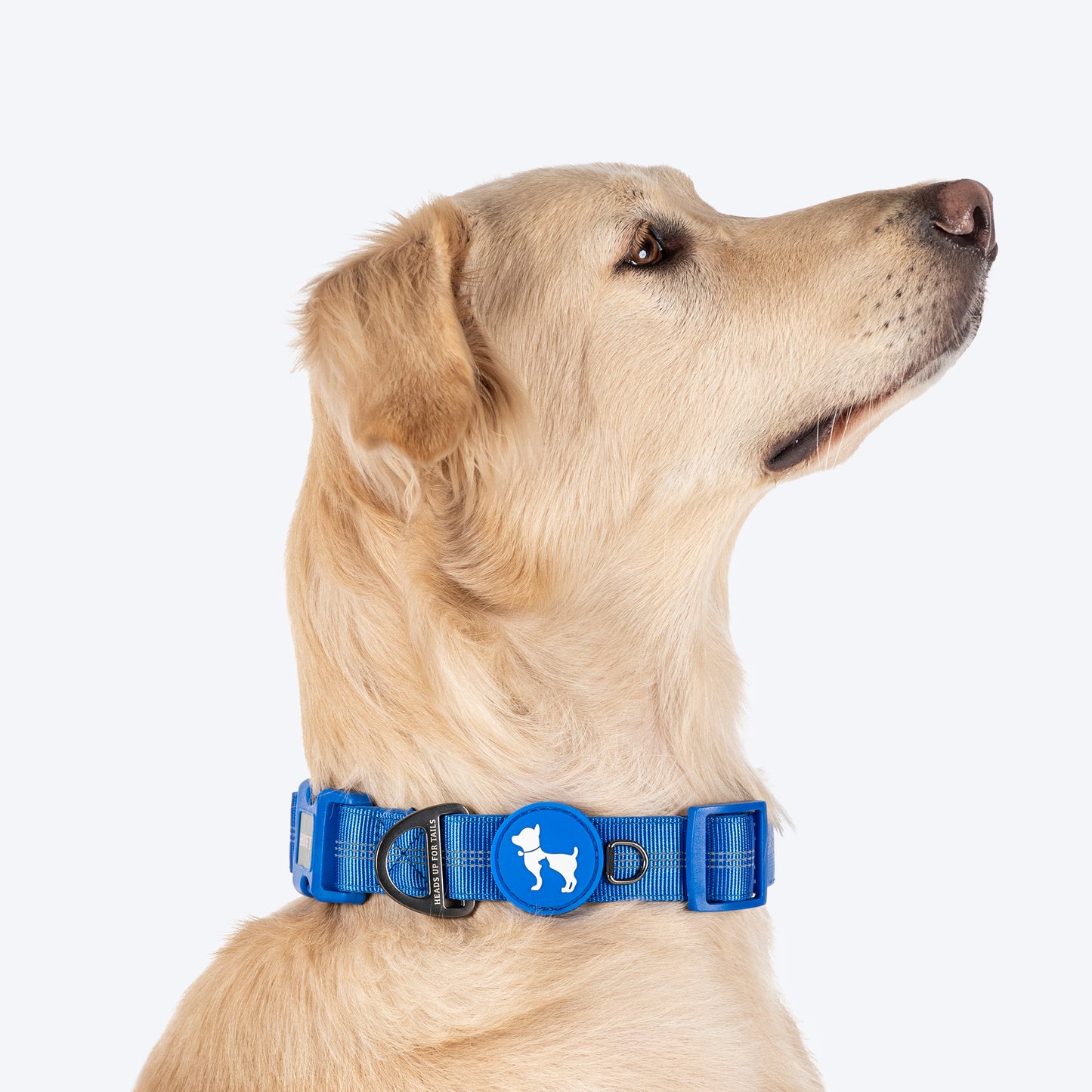 HUFT Comfort Plus Collar For Dog - Blue - Heads Up For Tails