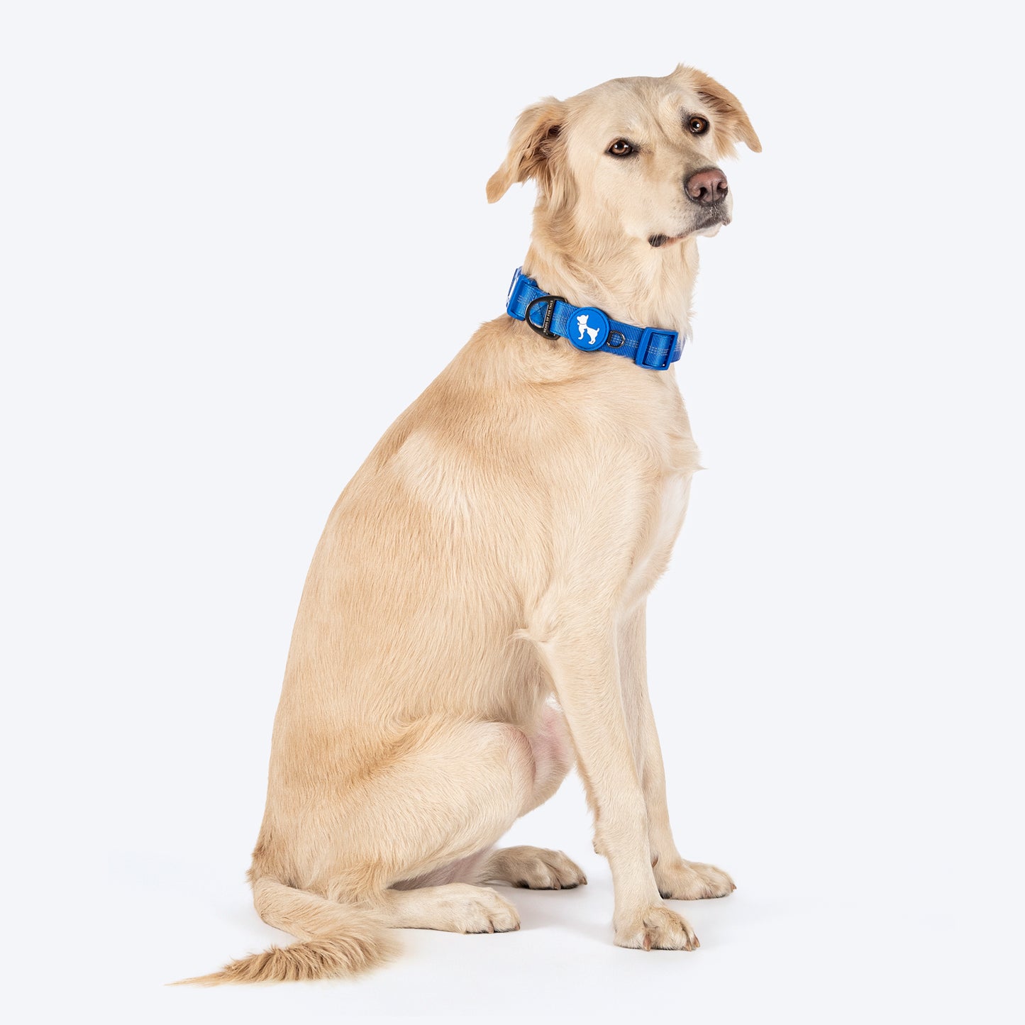 HUFT Comfort Plus Collar For Dog - Blue - Heads Up For Tails