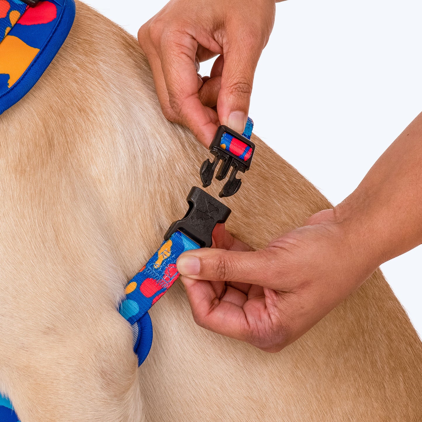 HUFT Colour Craze Dog Adjustable Harness_05