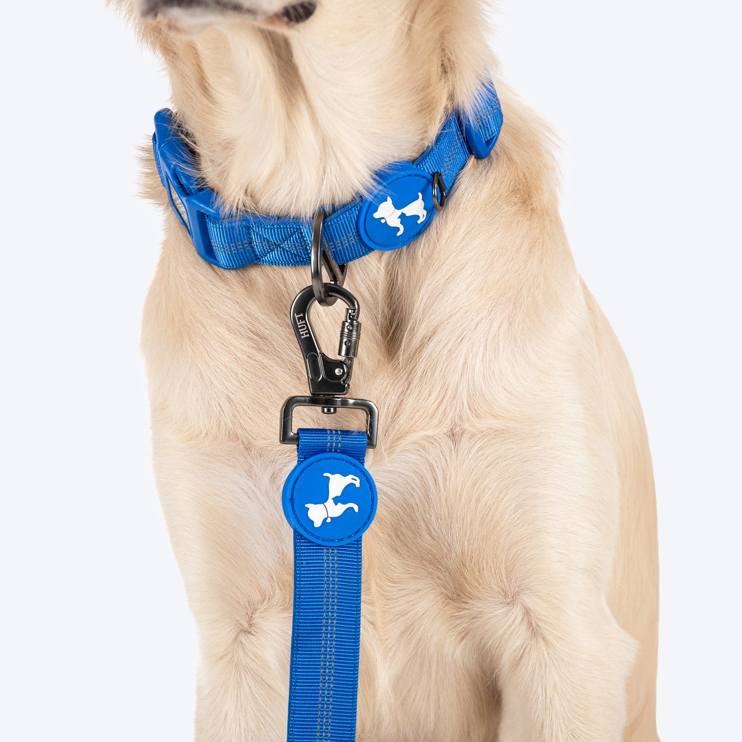 HUFT Comfort Plus Collar For Dog - Blue - Heads Up For Tails