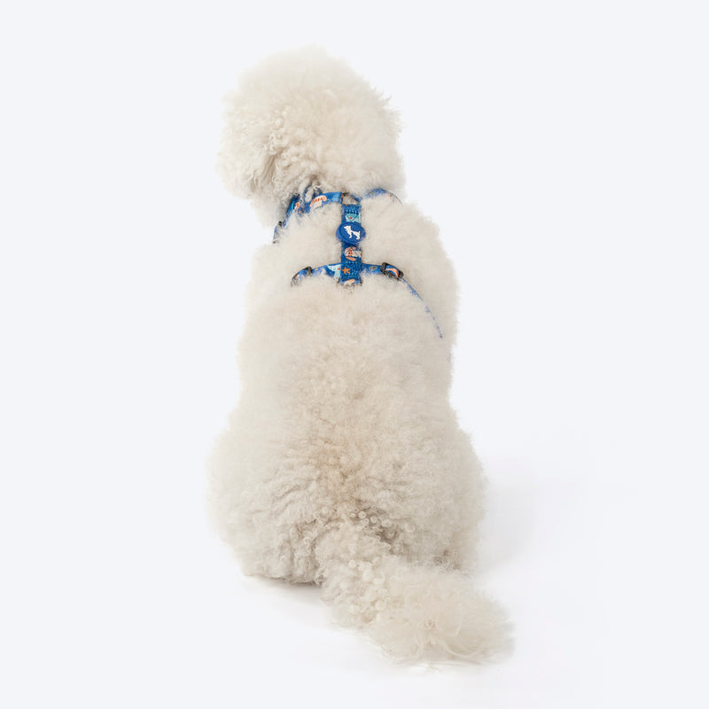HUFT Twinkle Tails Adjustable Harness For Dog - Blue - Heads Up For Tails