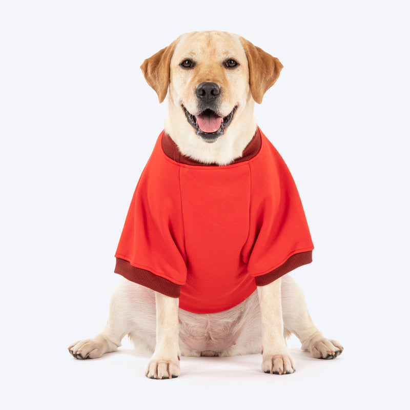 HUFT Woof Squad Sweatshirt For Dog - Red - Heads Up For Tails