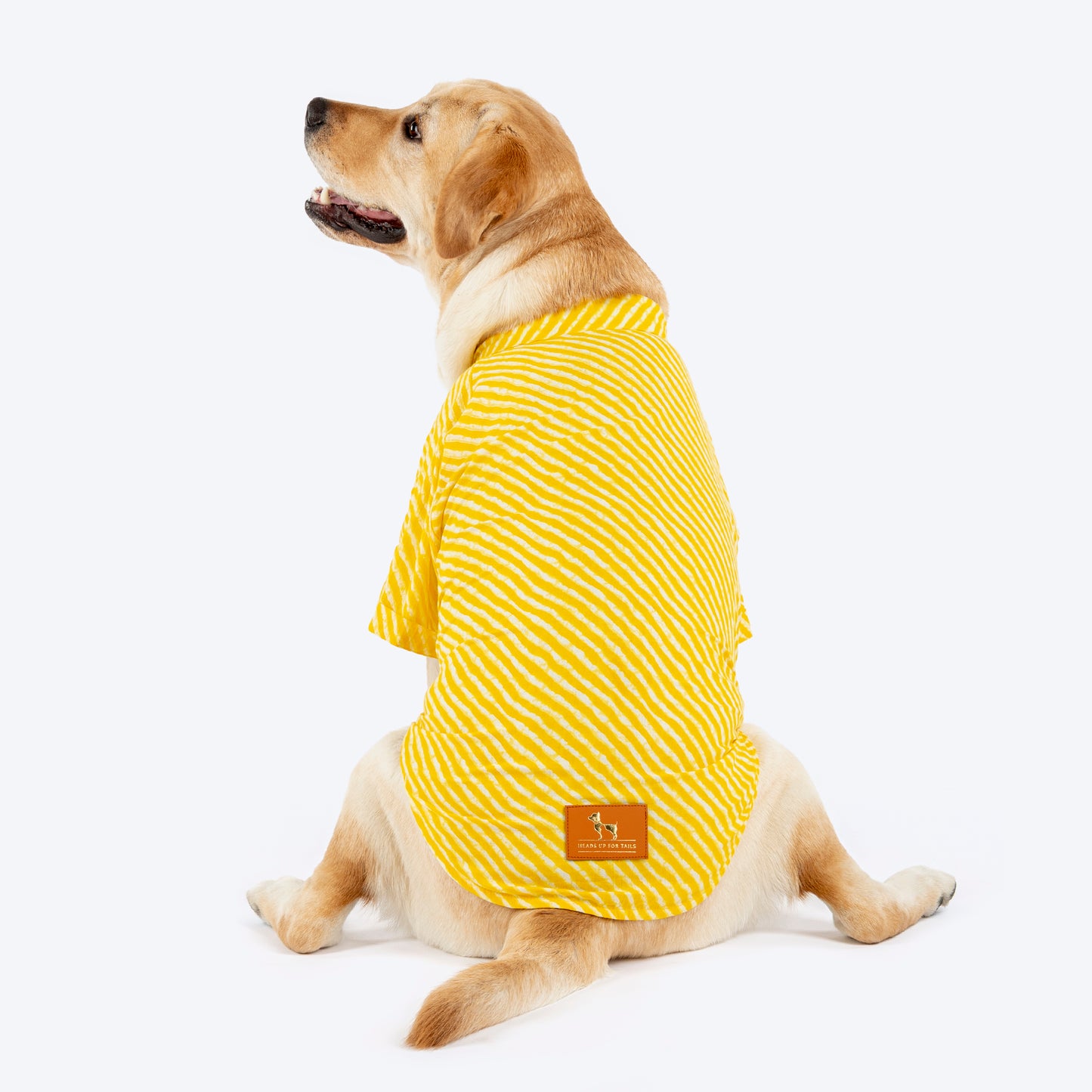 HUFT Pawdhani Leheriya Kurta For Dog - Yellow
