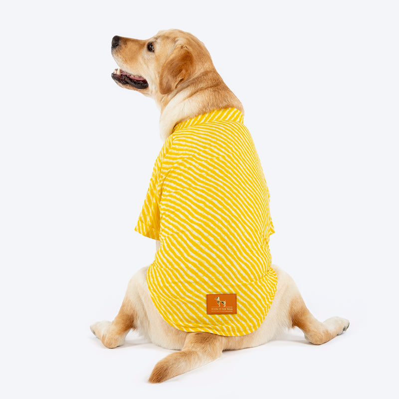HUFT Pawdhani Leheriya Kurta For Dog - Yellow - Heads Up For Tails