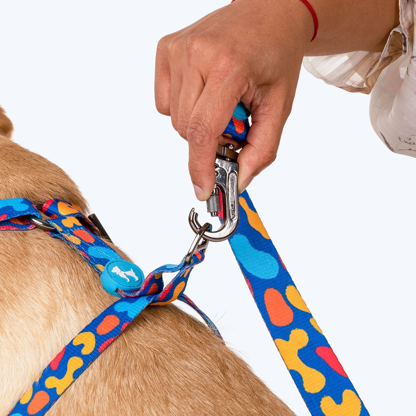 HUFT Colour Craze Printed Dog Leash - Heads Up For Tails