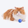 HUFT Meowtron Play Ball Interactive Toy For Cat - Blue - Heads Up For Tails