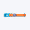 Dash Dog Padded Collar For Dog - Blue & Orange