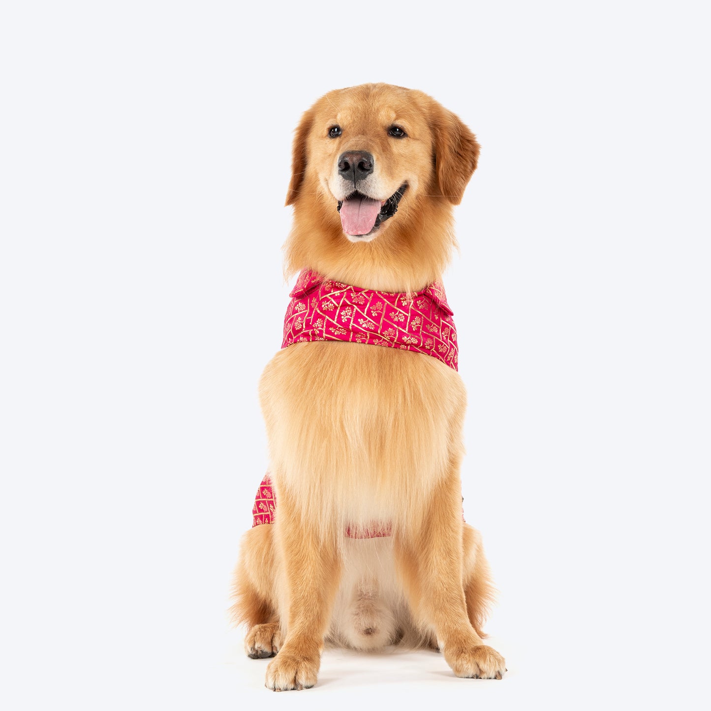 HUFT Petals & Pyaar Brocade Sherwani For Dog - Rani Pink