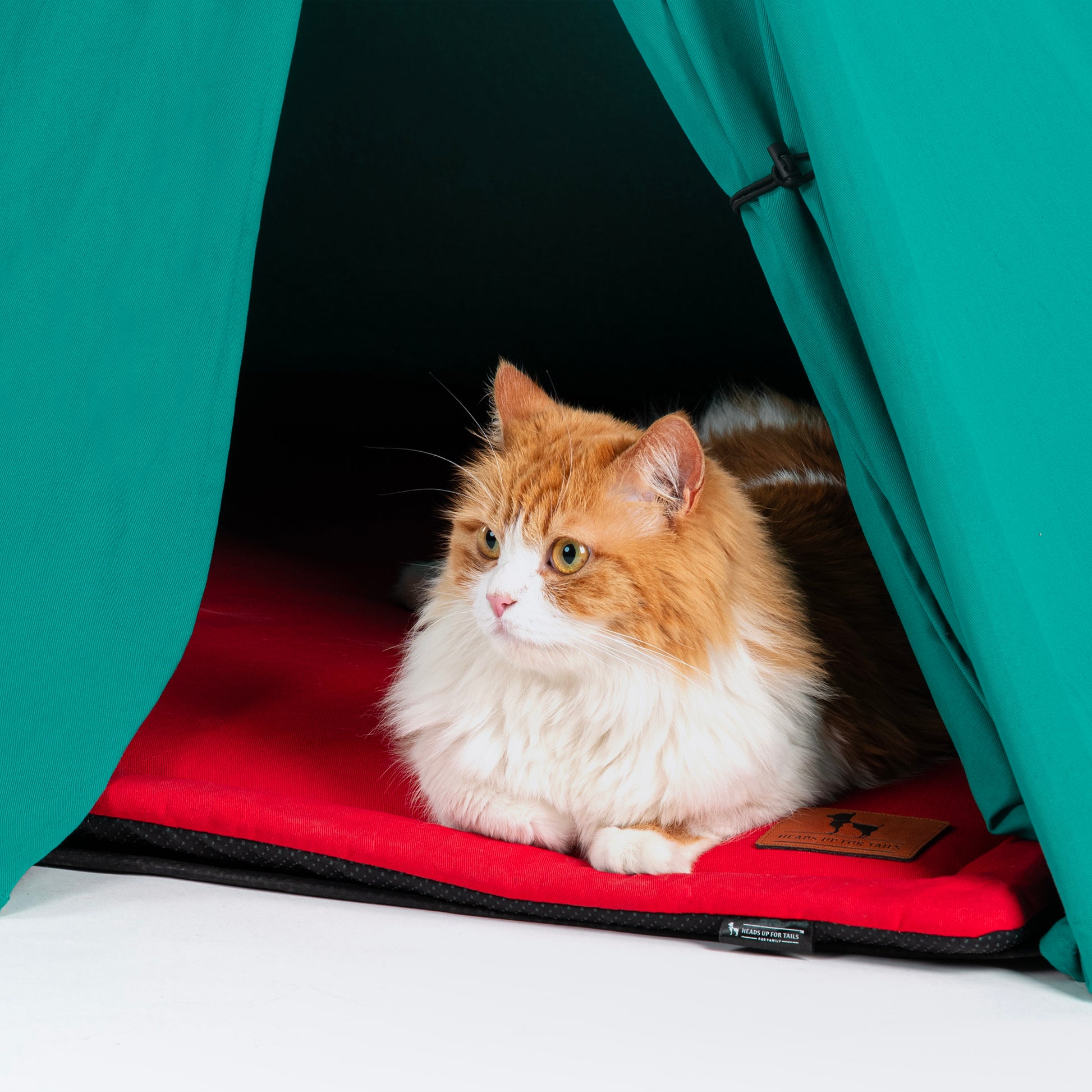 HUFT Personalised Teepee Tent For Dogs and Cats - Dynasty Green & Red - Heads Up For Tails