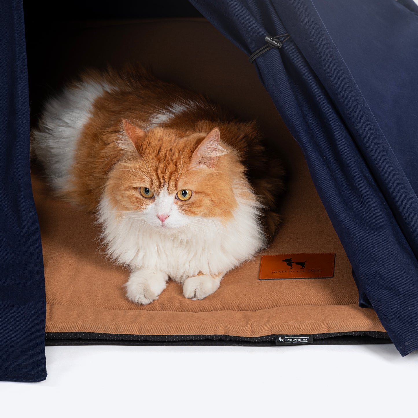 HUFT Personalised Teepee Tent For Dogs and Cats - Navy & Brown - Heads Up For Tails