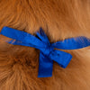 HUFT Royal Elephant Bandana For Dog - Royal Blue - Heads Up For Tails