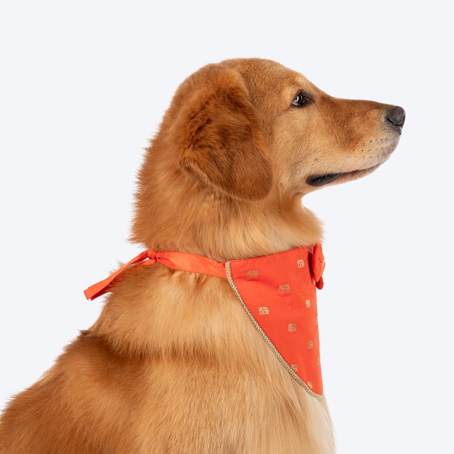 HUFT Royal Elephant Bandana For Dog - Orange