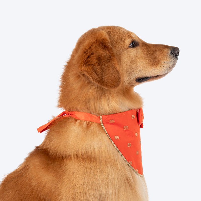 HUFT Royal Elephant Bandana For Dog - Orange - Heads Up For Tails