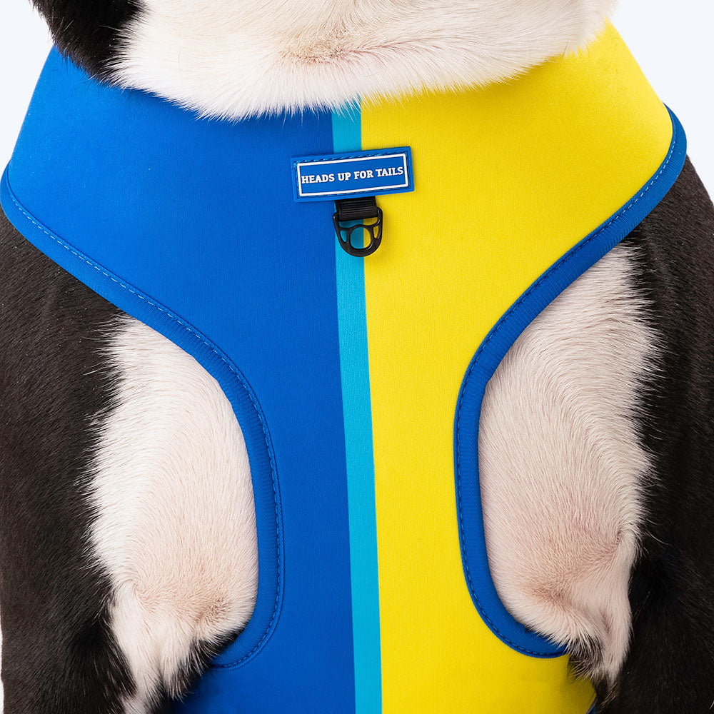 HUFT Blazing Blue Dog Reversible Harness_07