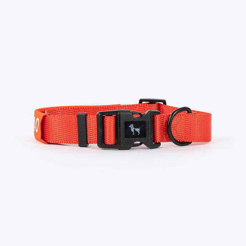 HUFT Personalised Classic Dog Collar - Rust Orange - Heads Up For Tails