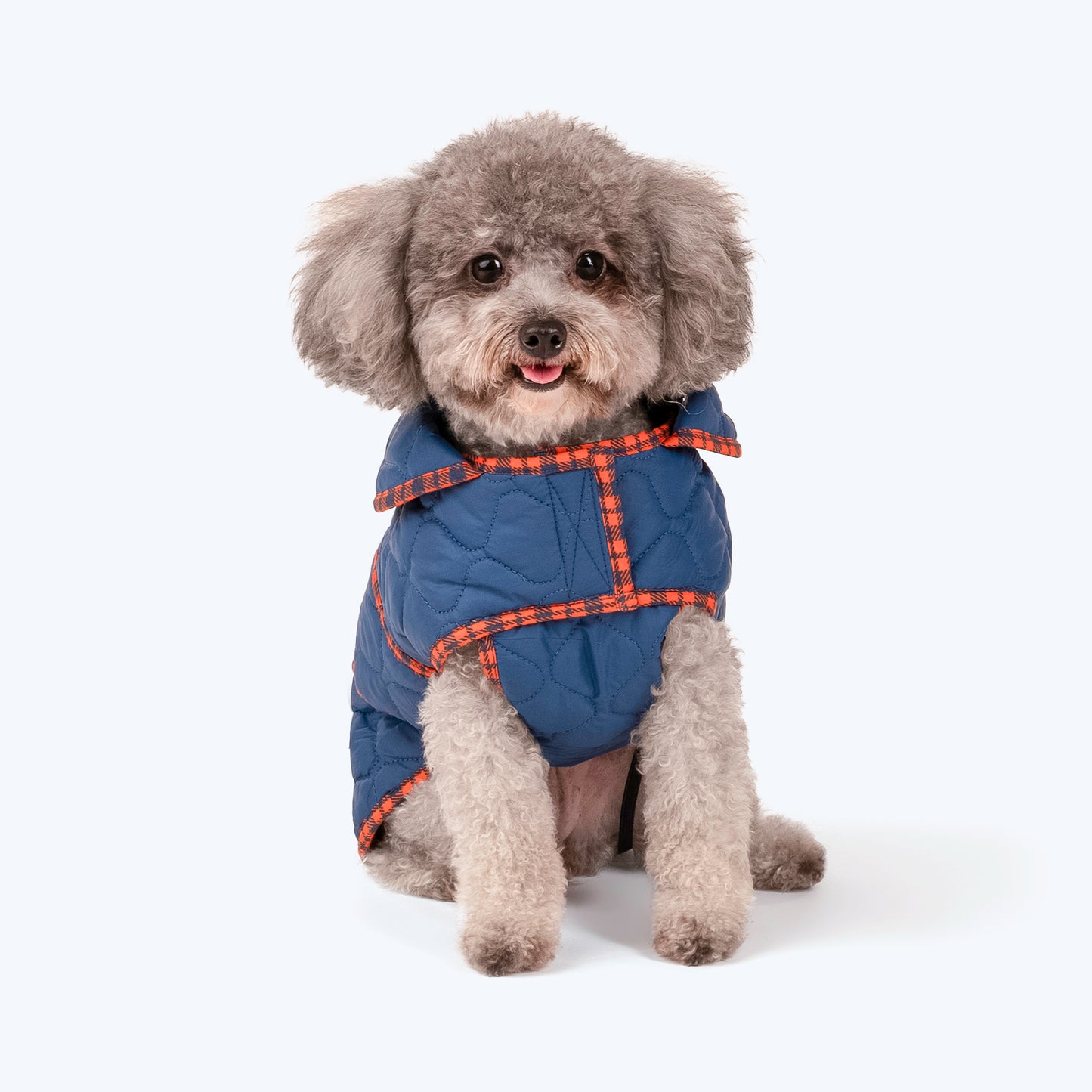 HUFT Grrberry Quilted Dog Jacket - Teal Blue - Heads Up For Tails