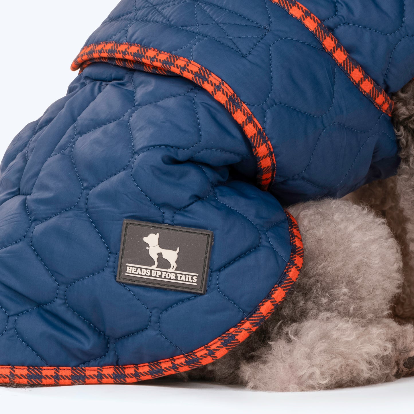 HUFT Grrberry Quilted Dog Jacket - Teal Blue - Heads Up For Tails