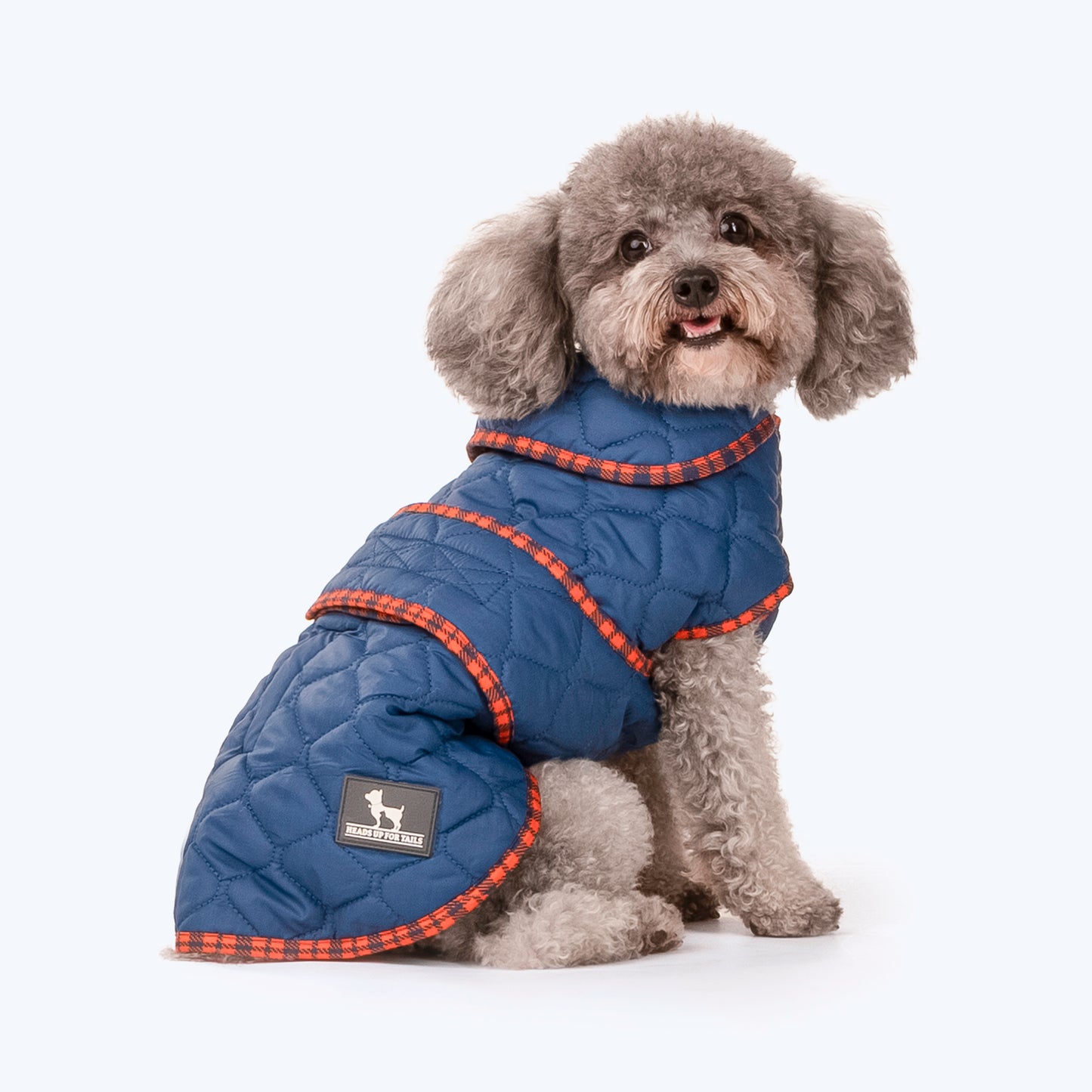 HUFT Grrberry Quilted Dog Jacket - Teal Blue - Heads Up For Tails