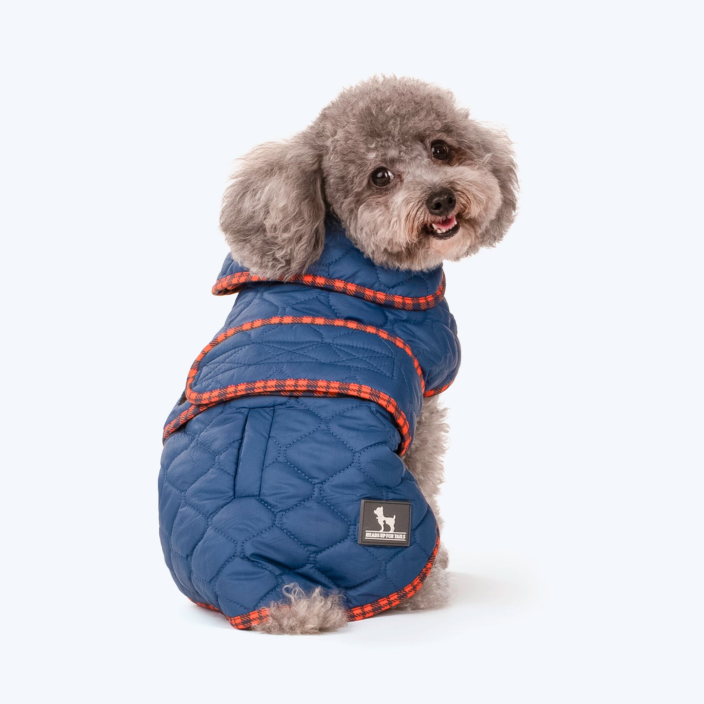HUFT Grrberry Quilted Dog Jacket - Teal Blue - Heads Up For Tails