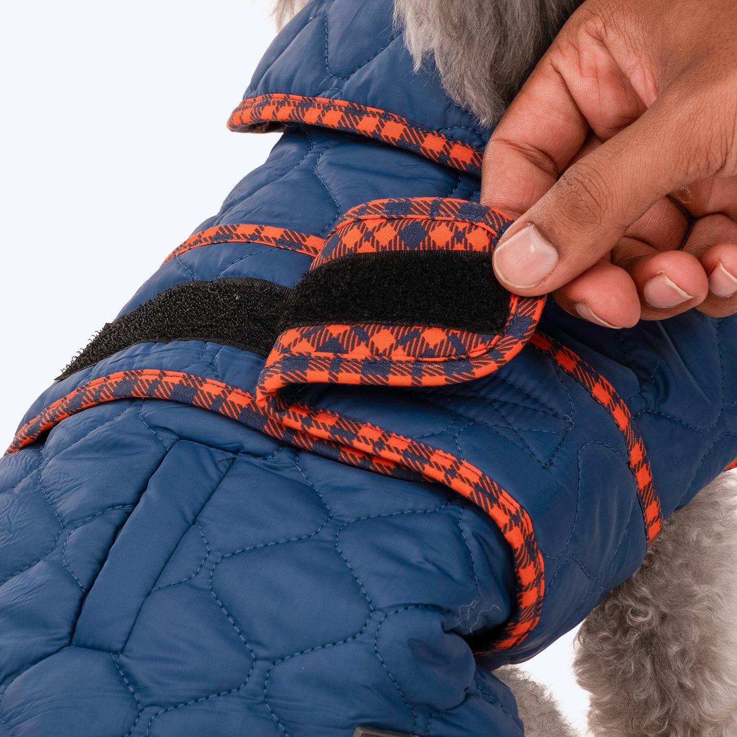 HUFT Grrberry Quilted Dog Jacket - Teal Blue - Heads Up For Tails