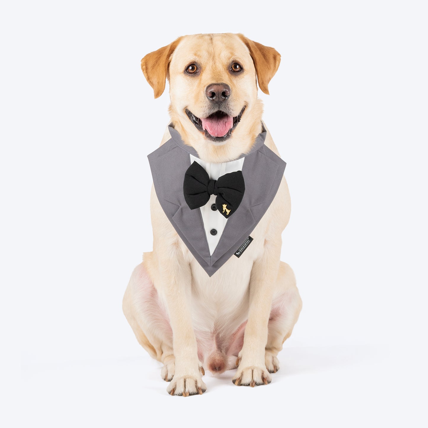 HUFT Pooch in a Suit Bandana For Dog - Grey - Heads Up For Tails