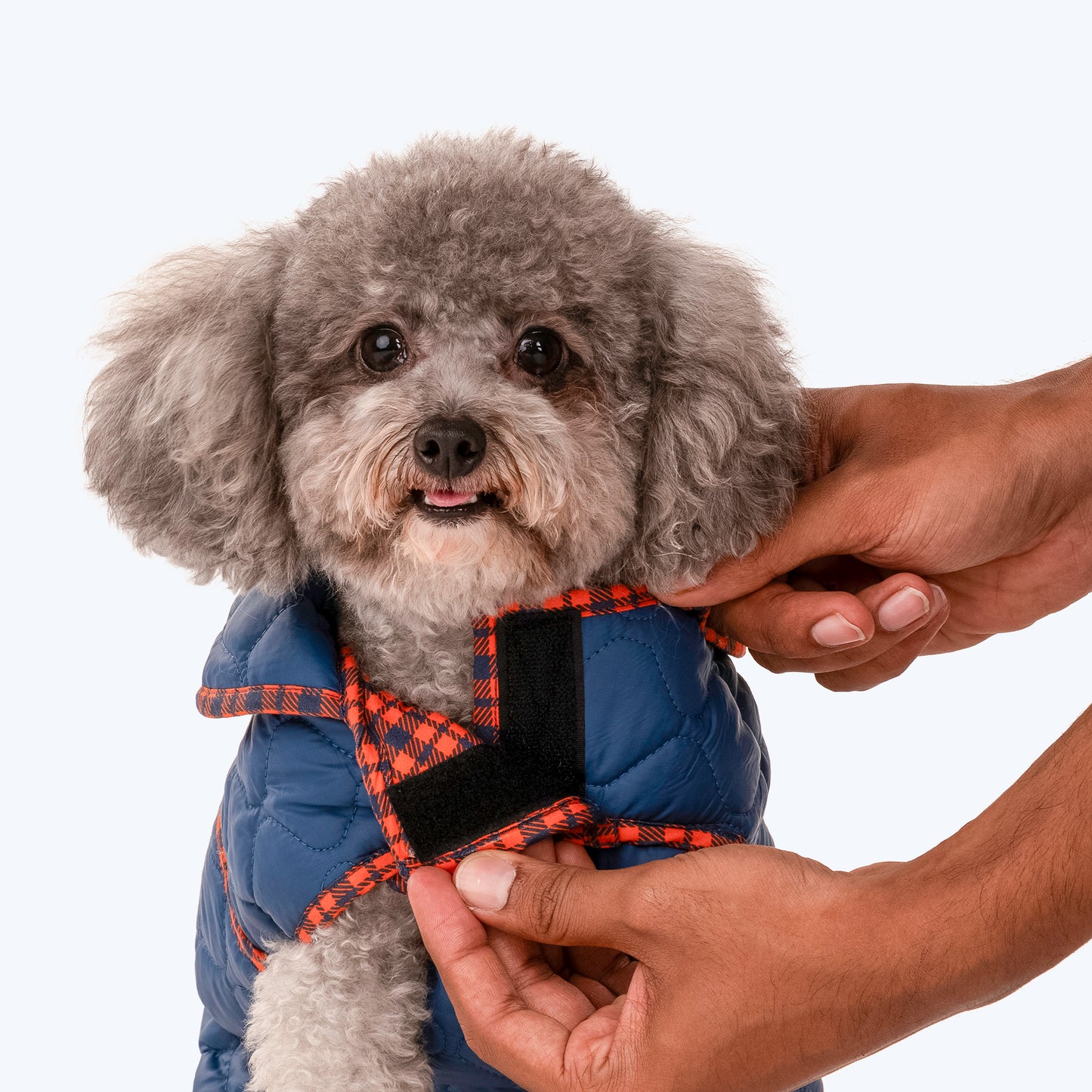 HUFT Grrberry Quilted Dog Jacket - Teal Blue - Heads Up For Tails