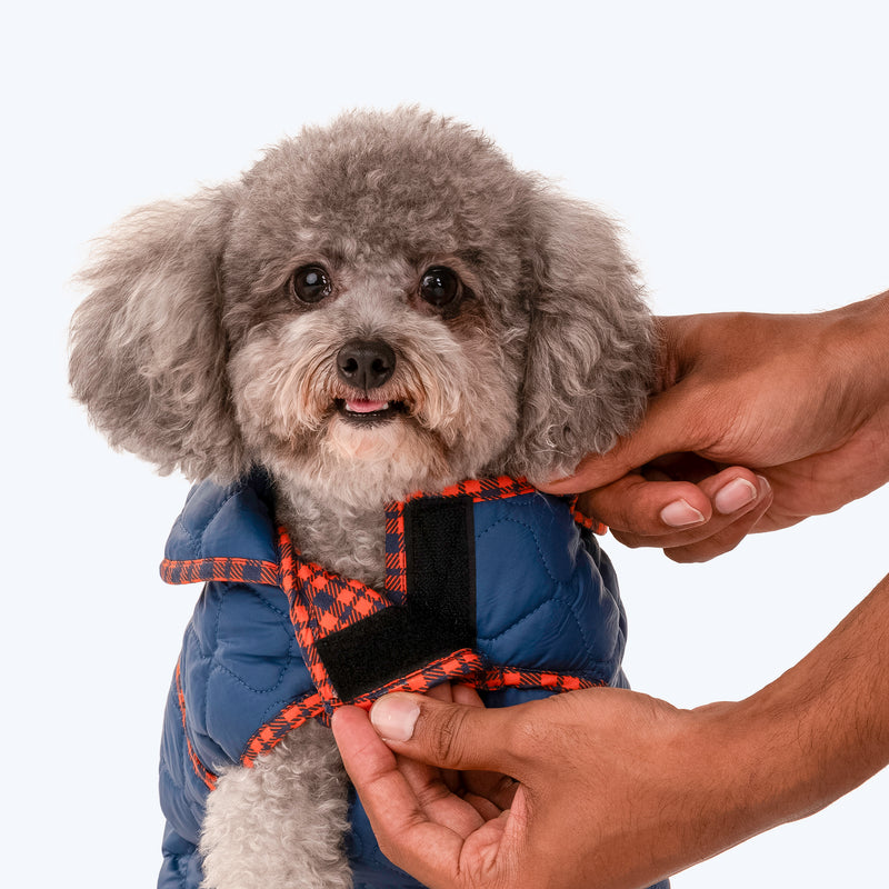 HUFT Grrberry Quilted Dog Jacket - Teal Blue - Heads Up For Tails