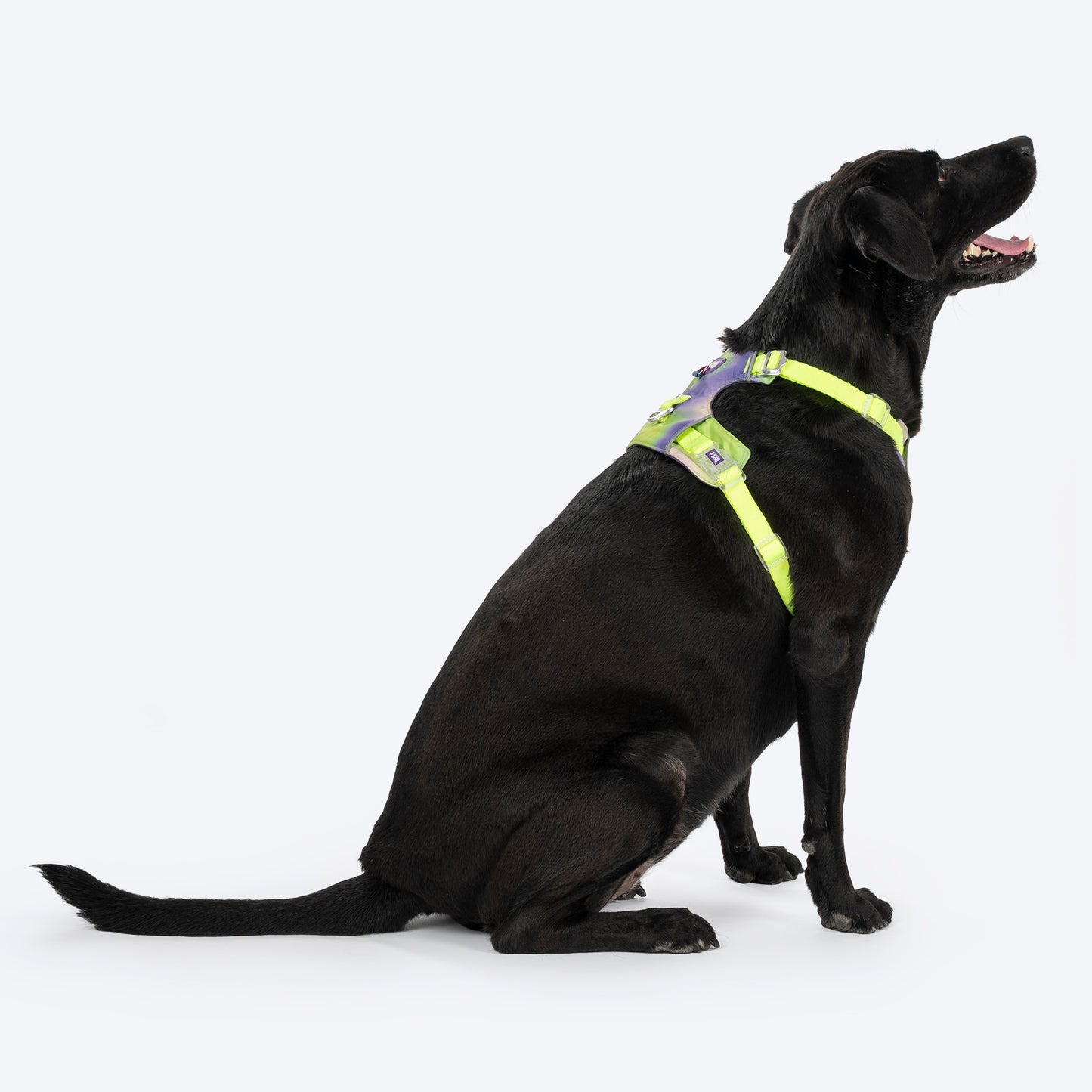 Dash Dog Neon Fusion Outdoor Ease Harness For Dog - Neon Green - Heads Up For Tails