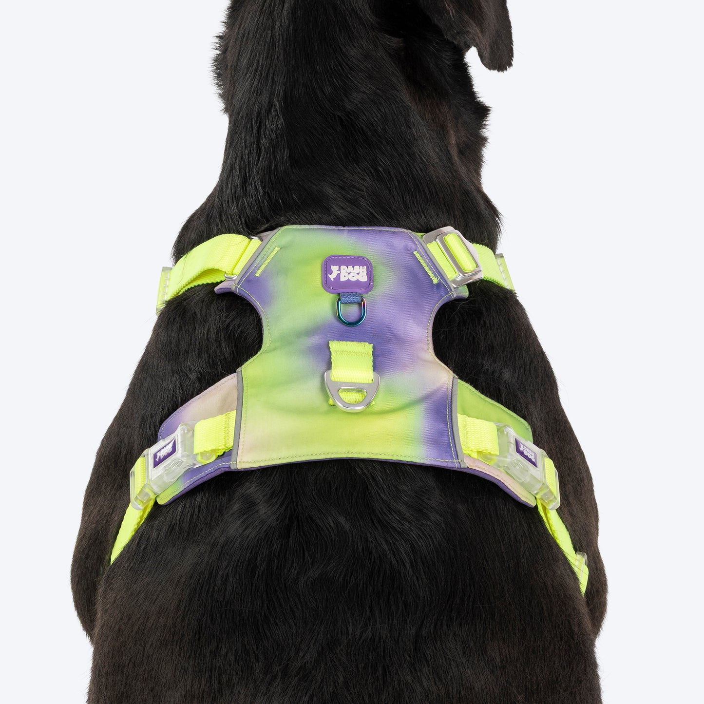 Dash Dog Neon Fusion Outdoor Ease Harness For Dog - Neon Green - Heads Up For Tails