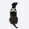 Dash Dog Neon Fusion Outdoor Ease Harness For Dog - Neon Green - Heads Up For Tails